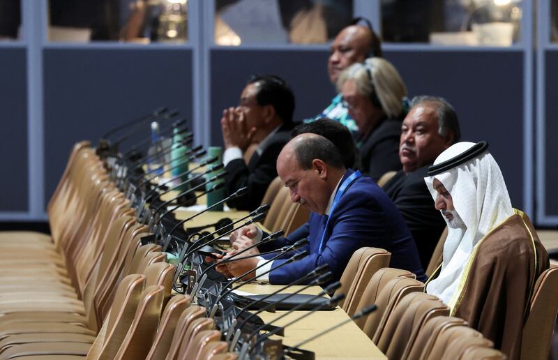2024-11-20T120252Z_1783905925_RC209BAWFRQC_RTRMADP_3_CLIMATE-COP29-STATEMENTS.JPG