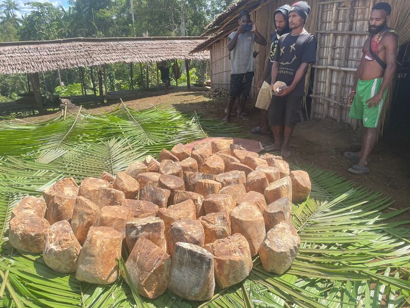 Indonesia-Papua-sago-awon-atatbon 5.JPG