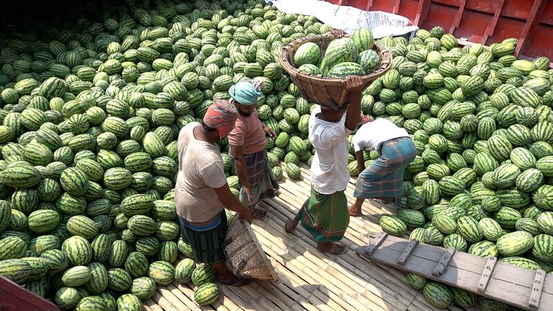 04 bd-watermelon2.jpg