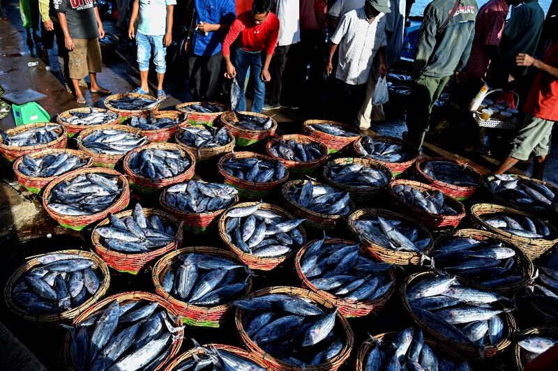 Ikan dalam keranjang-keranjang untuk dijual terlihat di pelabuhan perikanan di Banda Aceh, Indonesia, 15 Juli 2021. [AFP]