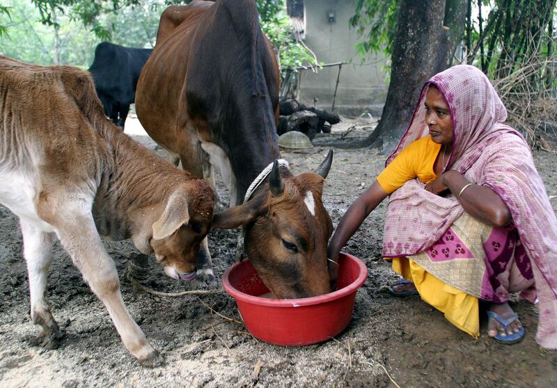 MICROCREDIT.JPG