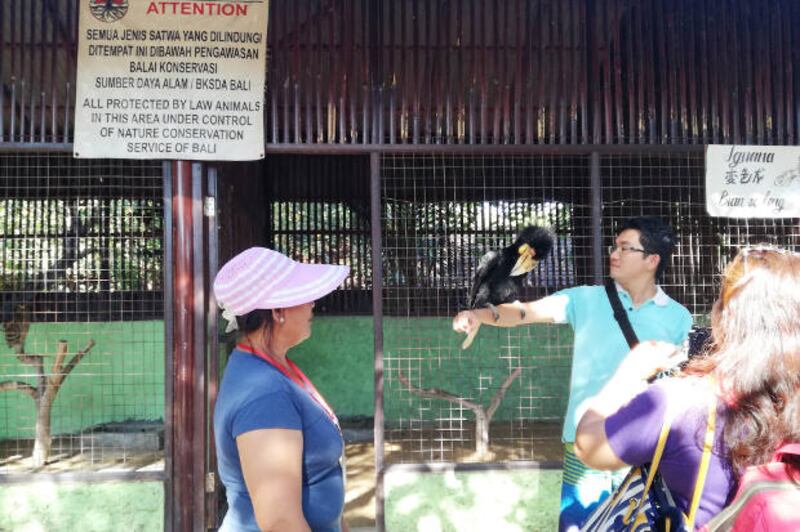 Turis berfoto bersama burung yang dilindungi di salah satu taman satwa di Bali, 1 Juni 2018. (Anton Muhajir/BeritaBenar)