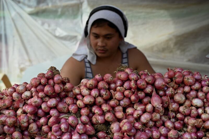 19 ph-onions-middle.jpg