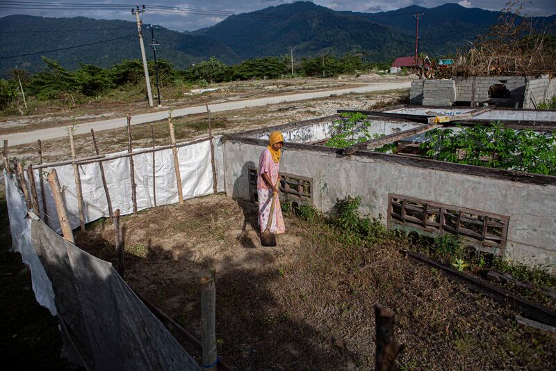 Seorang perempuan separuh baya memacul lumpur bercampur pasir yang sudah mengering dan mengubur ruang tamu rumahnya untuk ditanami ubi di Dusun 2, Desa Bangga, Kecamatan Dolo Selatan, Kabupaten Sigi, Sulawesi Tengah, Minggu [15/1/2023). Sebagian warga memanfaatkan lumpur bercampur pasir yang menimbun rumah mereka sebagai lahan pertanian baru dengan menanam berbagai sayuran untuk dikonsumsi sendiri. [Taufan Bustan/BenarNews]