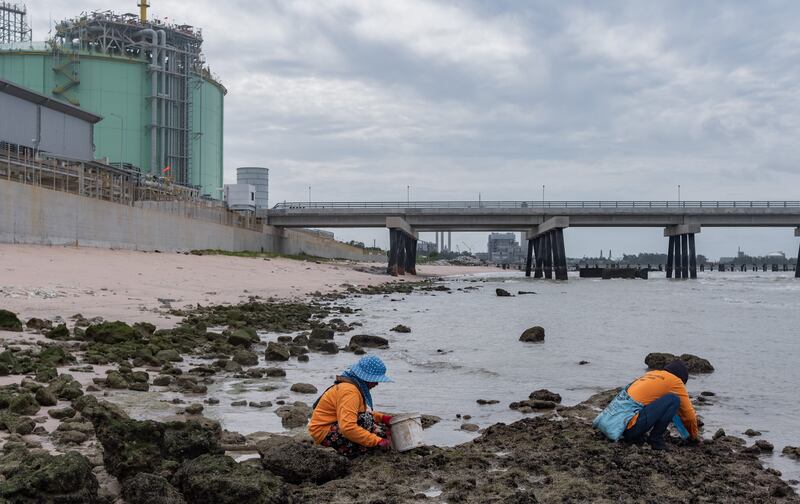 6 fishery rayong.jpg