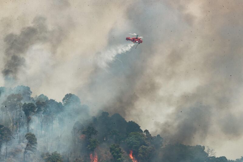 TH-northern-burning-season-04.jpg