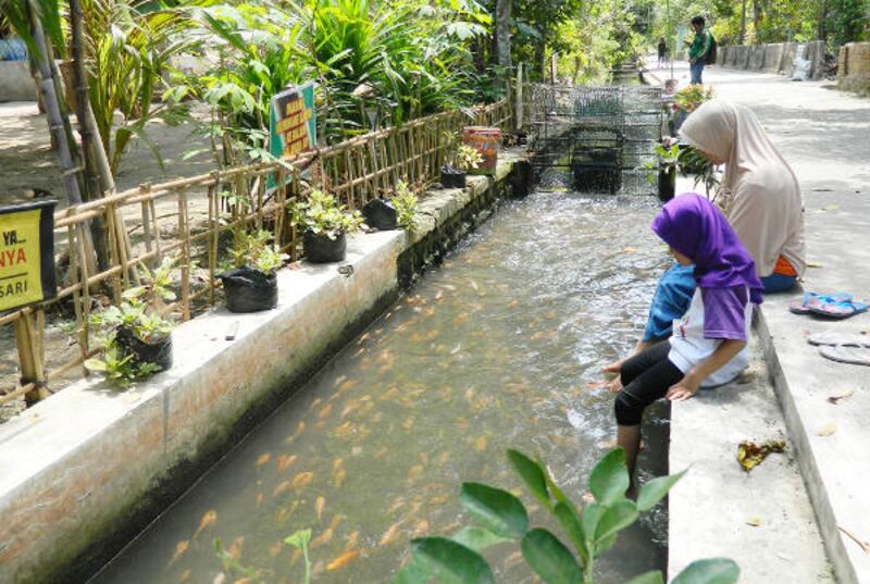 Seorang anak dan ibunya melihat ikan dalam parit di Desa Wukirsari, Kabupaten Bantul, Yogyakarta, 20 Januari 2018. (Kusumasari Ayuningtyas/BeritaBenar)