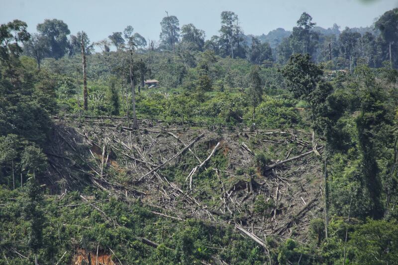 Foto udara tertanggal 13 Oktober 2021 ini memperlihatkan aktivitas penebangan hutan di wilayah Nisam Antara, Aceh. [AFP]