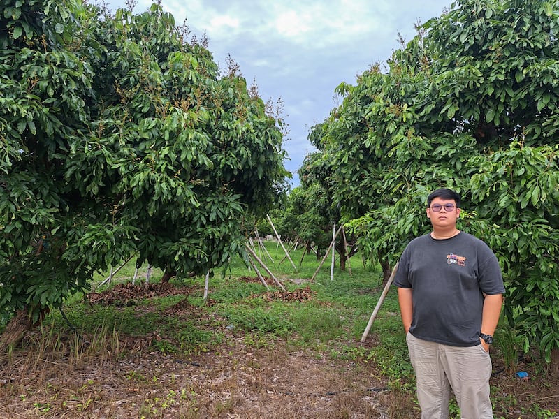 th-longan-03.jpg