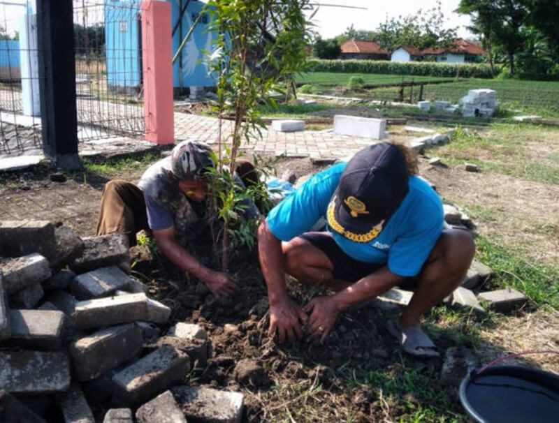 Wartoyo (kiri) merapikan tanaman bersama seorang warga setempat di areal Embung Larangan di kawasan Larangan, Kabupaten Brebes, Jawa Tengah, awal November 2020. [Kusumasari Ayuningtyas/BenarNews]