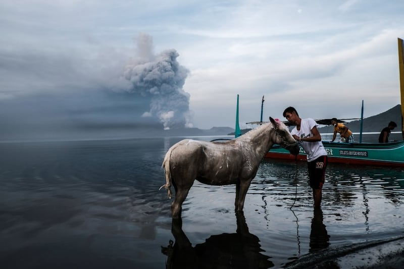 taal-horse-wash-5.jpg