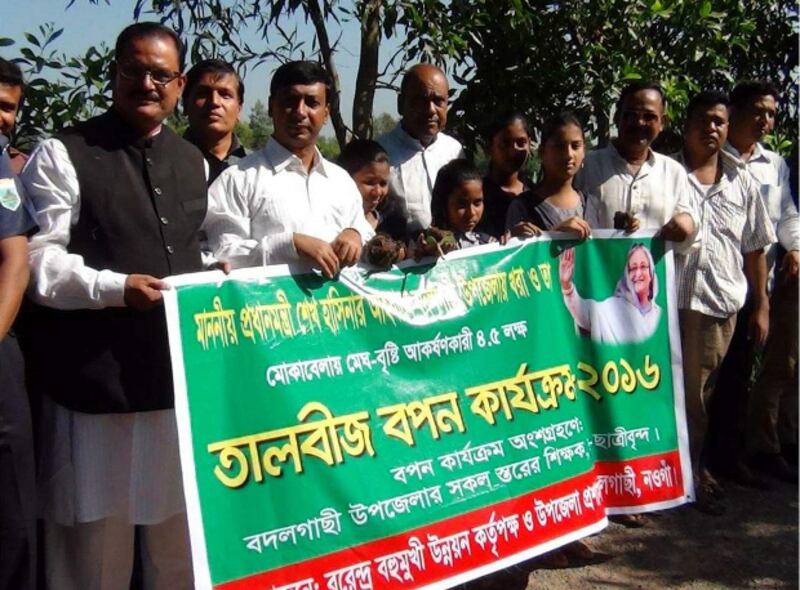 নওগাঁর বদলি গাছি উপজেলায় সাড়ে চার লাখ তাল বীজ রোপণ করা হয়েছে। জানুয়ারি ২৬, ২০১৭।