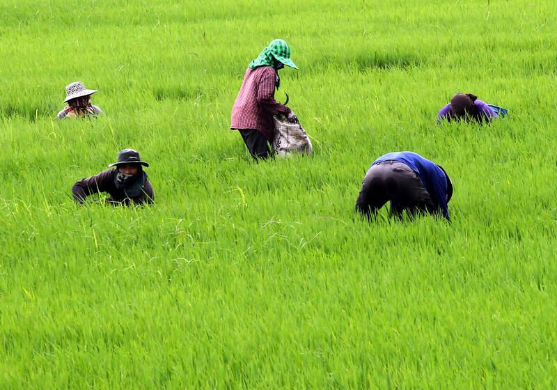 TH-farmers-debt-2.jpg