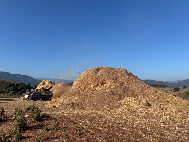 TH-northern-burning-season-03.jpg