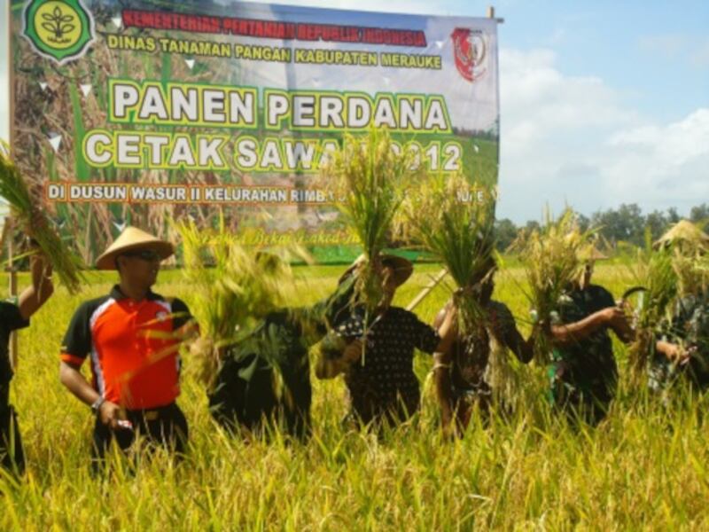 ID-Papua-pic-FOUR.jpg