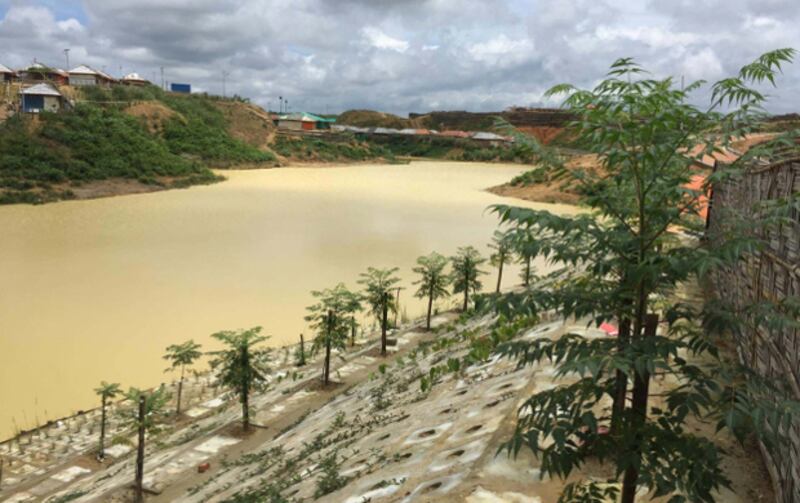 কক্সবাজারের উখিয়ার মধুরছড়া এলাকার রোহিঙ্গা শিবিরে পাহাড় ধস ঠেকাতে বিভিন্ন সংস্থার উদ্যেগে করা বনায়ন। ১ আগস্ট ২০১৯।