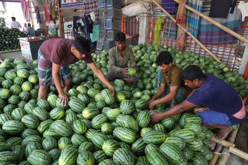 04 bd-watermelon1.jpg
