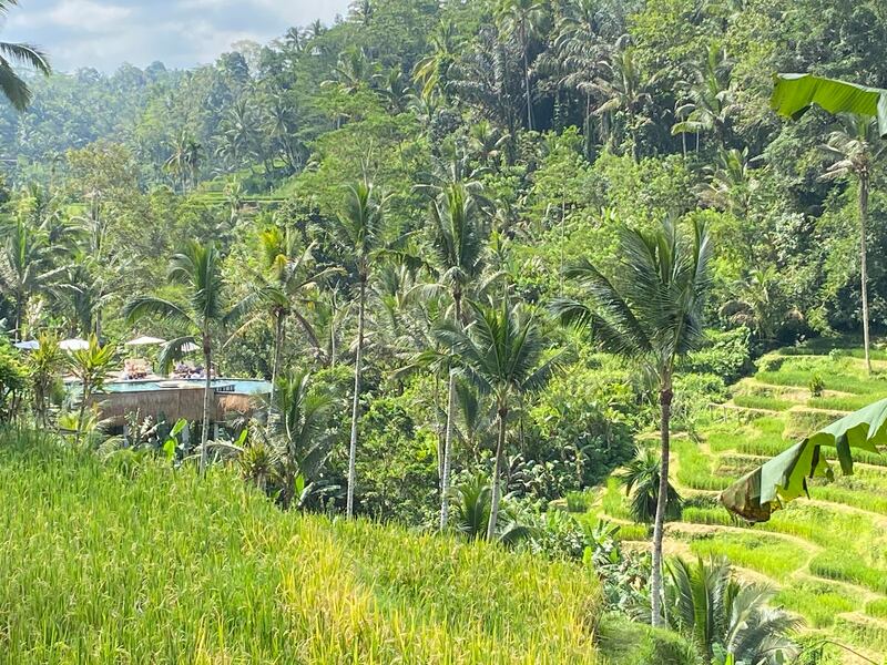 01 bali-inside.jpg