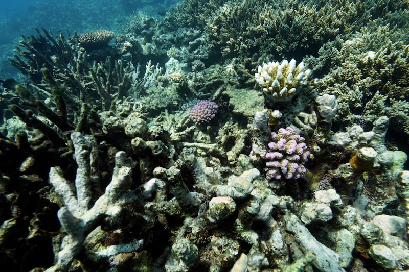 AP23177485013819.jpg