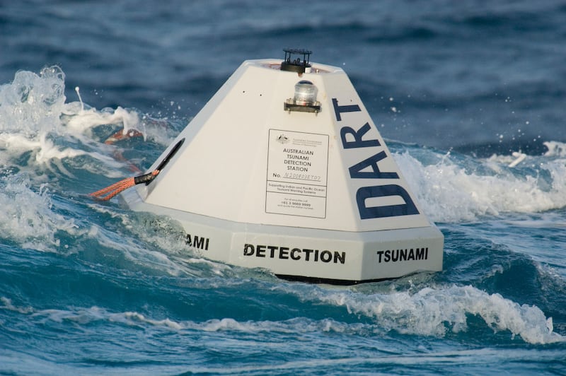 tsunami-main-4.jpg