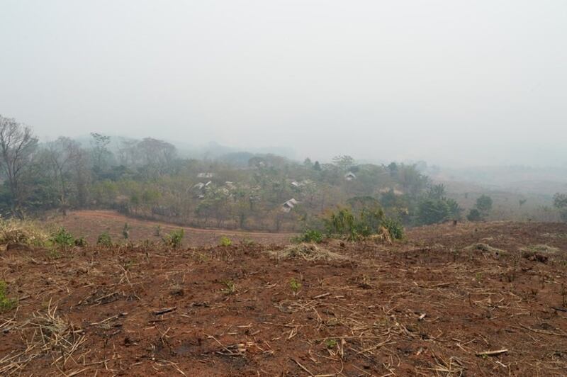 230418-th-environment1-rfa.jpg