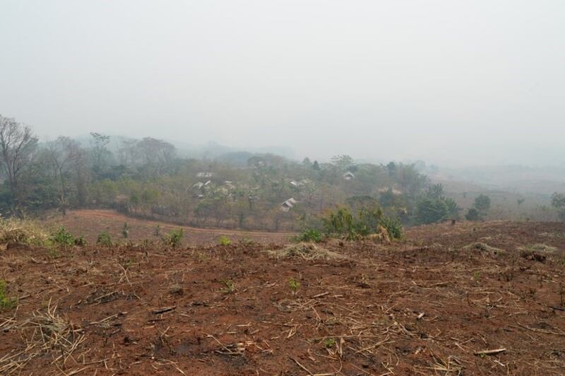 17 pollution2.jpg